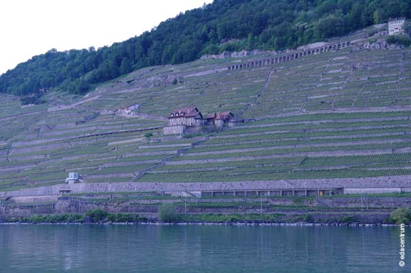 120530 068 nanotec ws3